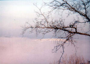 riverbridge.jpg
